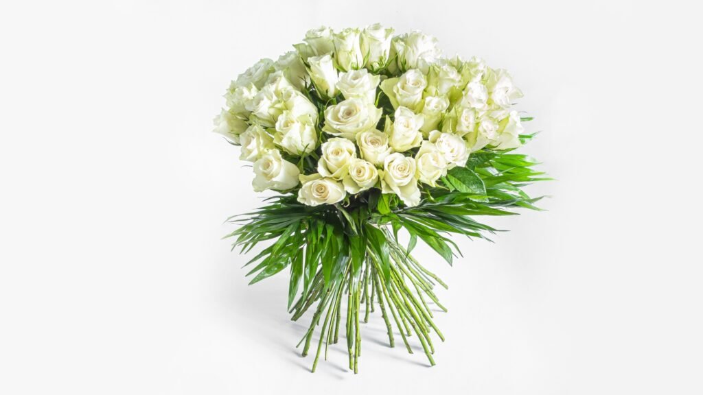 Send White Roses 51 White Roses - Selia Flowers | Send flowers Glyfada